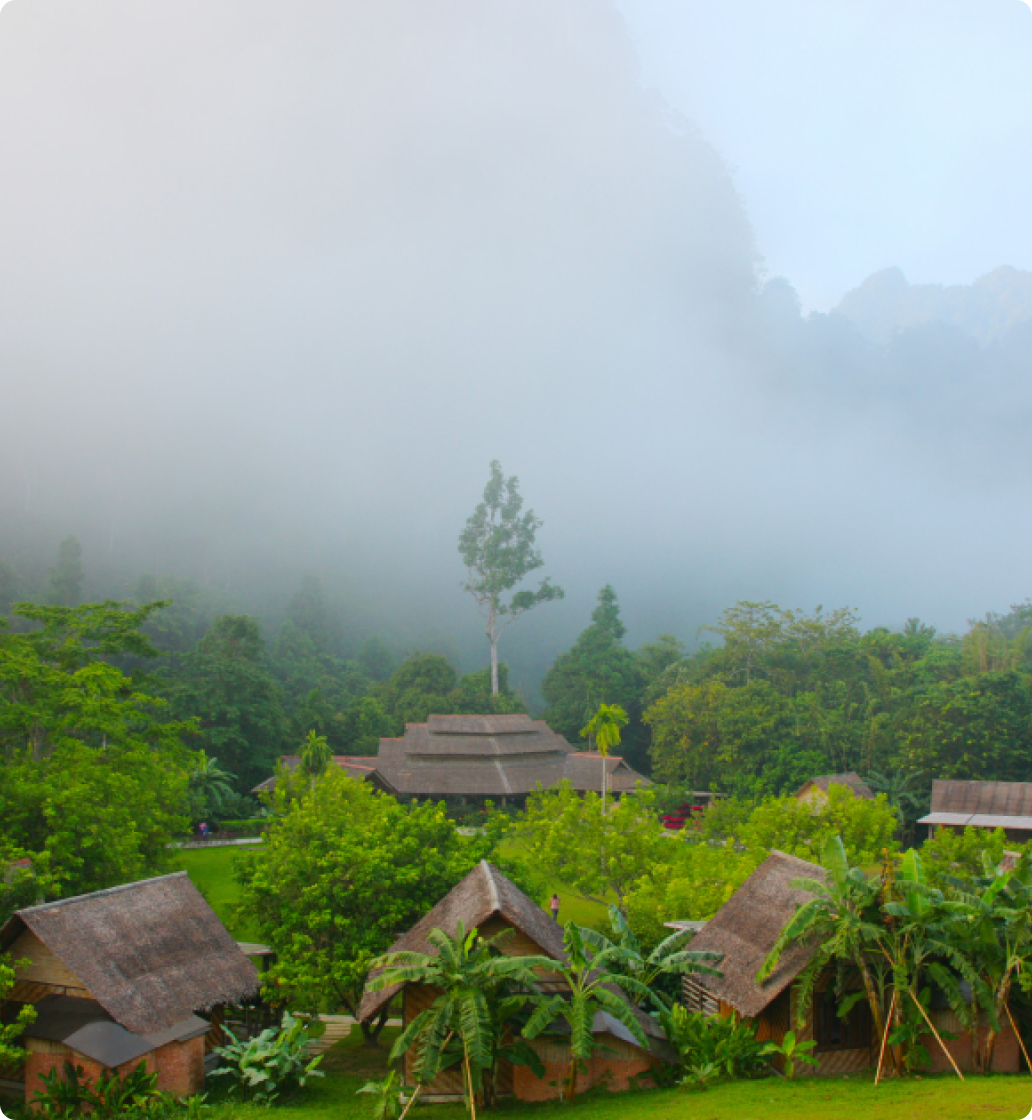 Serene yoga practice in nature