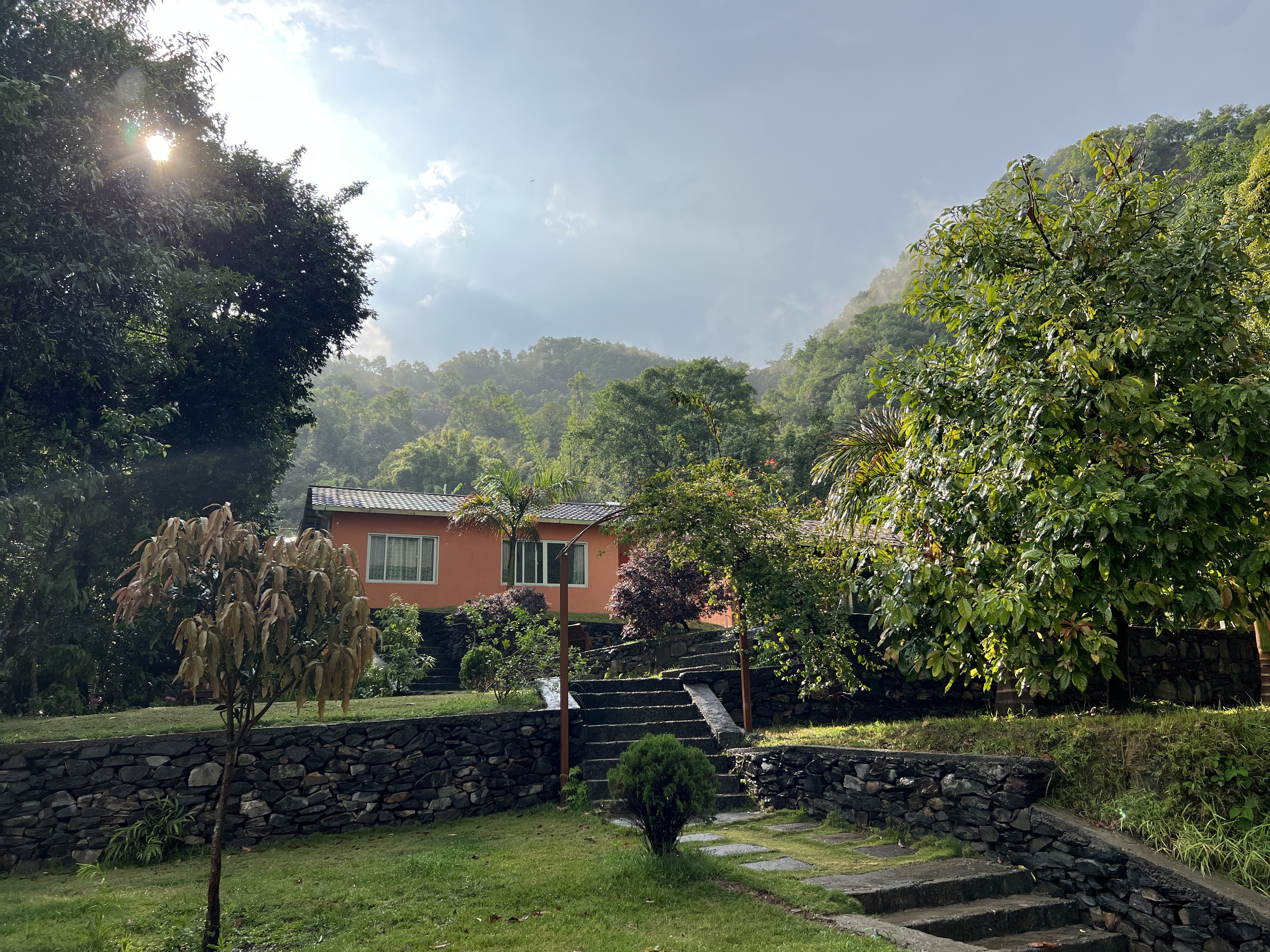 Nature View