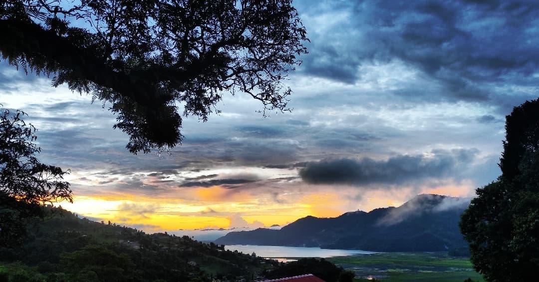 Nature View